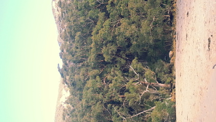 Somewhere in Wilson's Prom, VIC